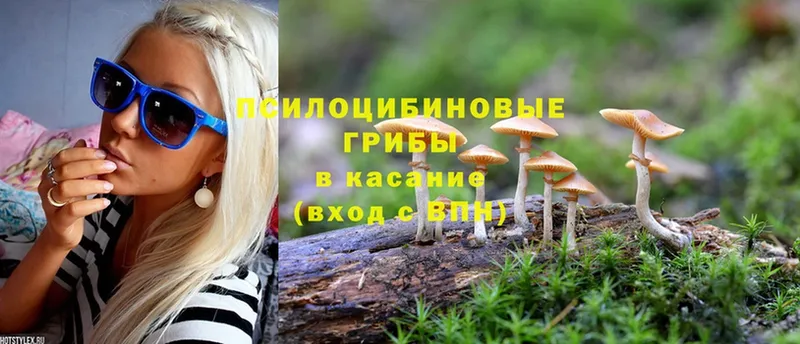 Галлюциногенные грибы Psilocybine cubensis  купить закладку  Байкальск 